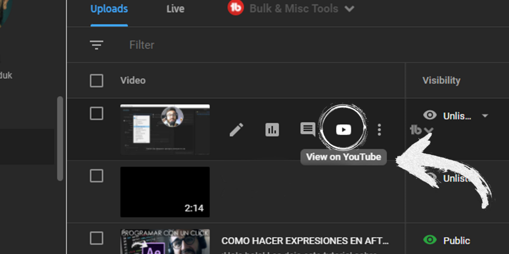 CÓMO SUBTITULAR TUS VIDEOS FACIL Y GRATIS 5